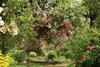 Domaine Des Roches Blanches - Site Class�