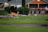 Lodge Oregon Garden Resort