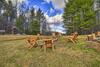 Peaceful Cabin With Fire Pit On Cross Creek Ranch!