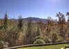 Far Horizons #416 By Aunt Bug's Cabin Rentals