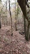 Lost Paradise Is Your Private Cabin In The Forest