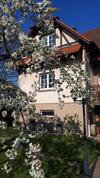 Apartamento Gite "le Platane" 45 M2 - Climatis�