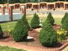Motel Hickory House Inn
