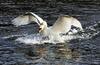 G�te Des Trois Vallees