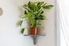Apartamento Appartement Haut Standing Proche Commerces - Orchidee