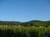 Apartamento Vue Sur Vignes