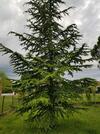 G�te En Sud Ard�che