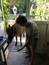 Bed & Breakfast Ch�teau de Saint-agoulin