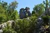 Le G�te Des Mon�des