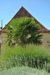Le Domaine Des Fargues