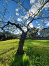 Hostal Les Jardins de Falgui�re