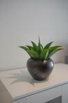Apartamento Joli Studio Avec Jardin Bord de Mer