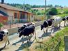 G�te Saint-marcel-d'urf�, 4 Pi�ces, 5 Personnes - Fr-1-496-235