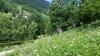 Apartamento Le Bois Des Li�vres