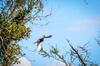 La Tireliere, Long�re Bord de Mer Avec Jardin