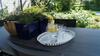 Bed & Breakfast Les Terrasses de Templeuve