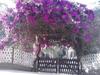 Hostal Haras Radachi