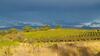 G�te de Vacances En Camargue ??nn