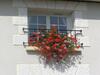 Bed & Breakfast Le Renard Chambres D'hotes