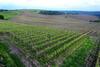 Seven Generations Winery Hotel
