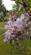 Bed & Breakfast Le Clos Des �cureuils
