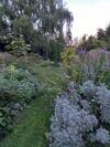 Bed & Breakfast La Haie � Cerf