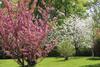 Bed & Breakfast Chambres D'h�tes La Ferme de Monseignon