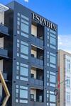 Mojave Lifestyle Modern Studio - Espadin Lohi