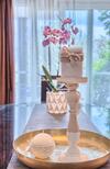 Apartment Villa Hacijenda With Private Pool And Jacuzzi