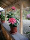 Hostal Pensiunea Plai Strabun