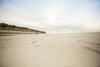 Apartamento Weidevilla 14 Auf Ameland