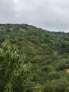 Agroturismo La Conac