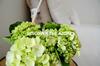 Verde'�gua Family Home
