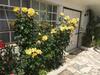 2 Bedroom Apartment House - Sol Do Murtal