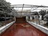 Hostal Villa Lucia Affitta Camere