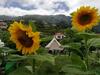 Agroturismo Granny's Farm