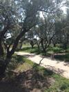 Apartamento Casa Do Rio - Riverside House