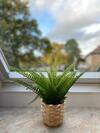 Apartamento Ferienwohnungen Gl�ckstadt