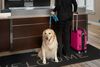 Hotel Residence Inn Boston Dedham