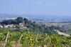 Apartamento Agriturismo Il Pino - Appartamento Querce