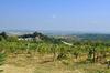 Apartamento Agriturismo Il Pino - Appartamento Querce