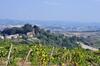 Apartamento Agriturismo Il Pino - Appartamento Cipresso