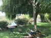 Apartamento Casa No Rio - River House