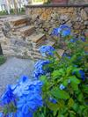 Apartamento La Bellana