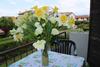 Apartment In Lazise - Gardasee 38598