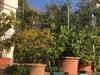 Apartamento La Casa Degli Ulivi