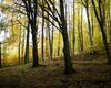 Ferienhaus Rh�ner Wohnen