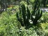 Agroturismo Le Apuane