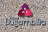 Hotel Bugambilia