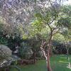 Apartamento C� Bianca Scauri